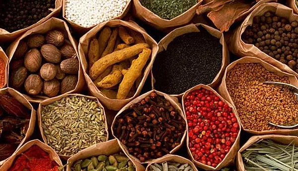 Solusi Modern untuk Kebutuhan Petani dan Pelaku Agribisnis