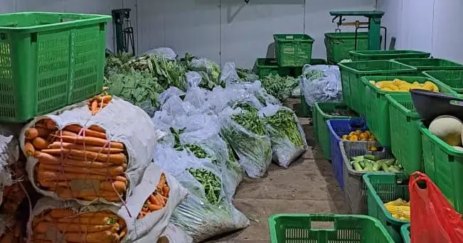 Belanja Sayur Buah Organik Segar Langsung Dari Kebun Petani