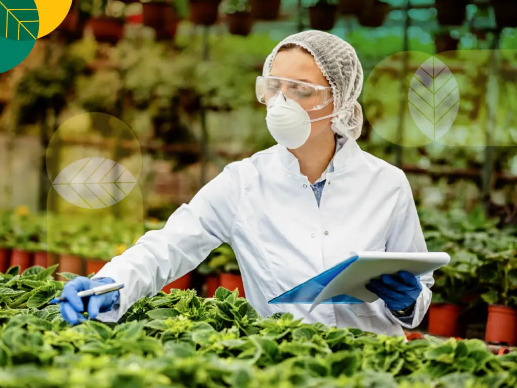 Produk Pertanian dengan Pemanfaatan Bioteknologi