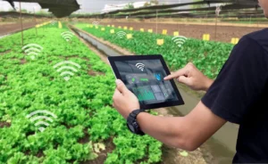 tips-hemat-air-dan-pupuk-maksimal-berbasis-teknologi-iot
