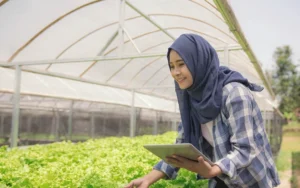 startup-pertanian-modern-peluang-besar-untuk-generasi-digital