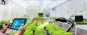smart-farming-generasi-muda-pertanian