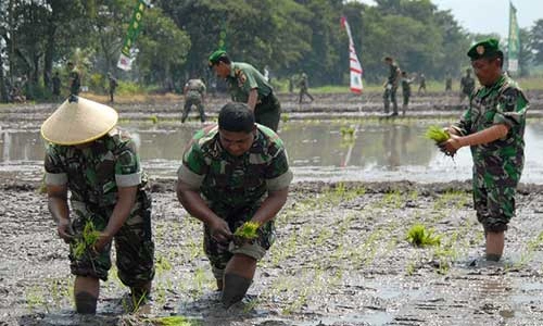 aparat-ikut-urus-pertanian